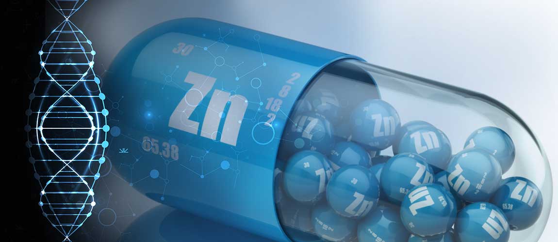 boosting zinc intake can protect your dna 2