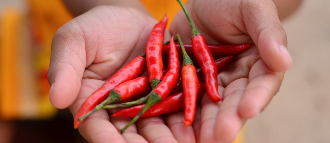 Chili Pepper Compound Capsaicin Reduces Mortality Risk, Says New Study
