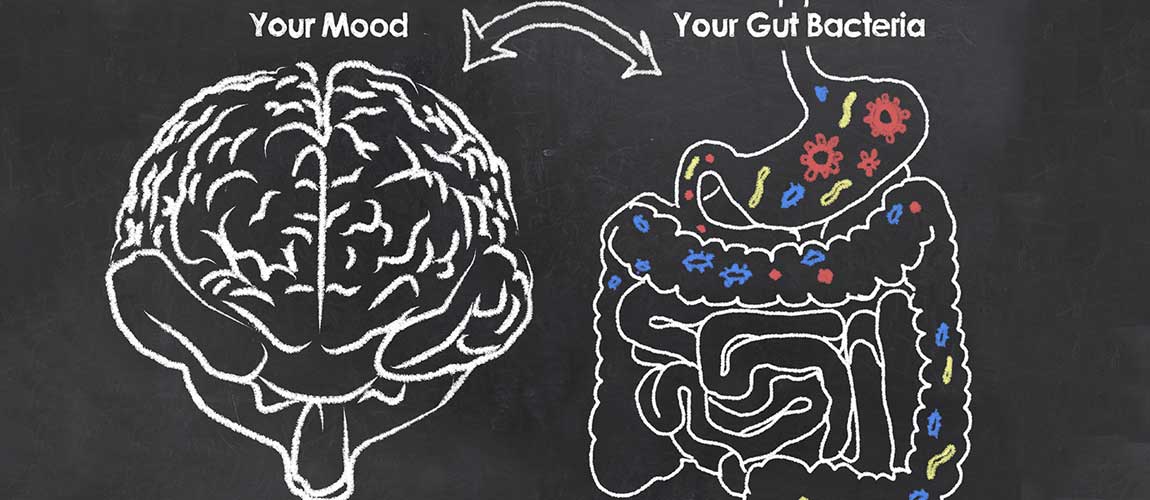 connections between the gut and brain influence mood behavior and more