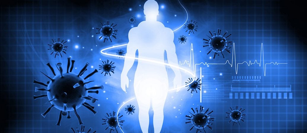 discovered how the immune system promotes friendly gut bacteria