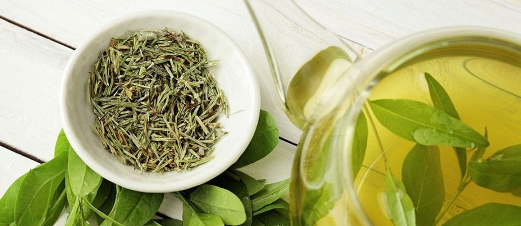 EGCG aus grünem Tee hilft bei der Bekämpfung negativer Effekte der westlichen Ernährung