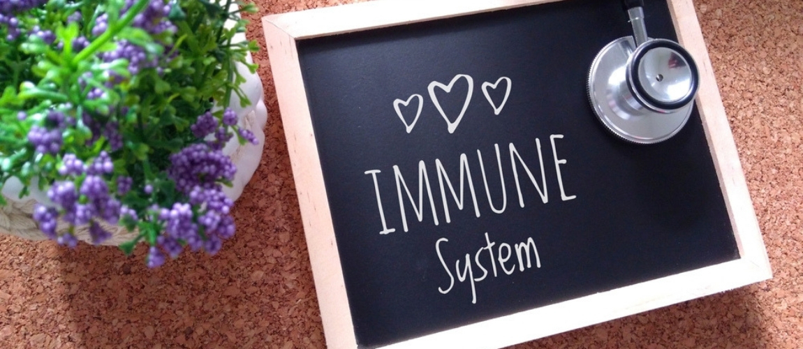 Gut Bacteria and Immune System Function Fundamentally Linked