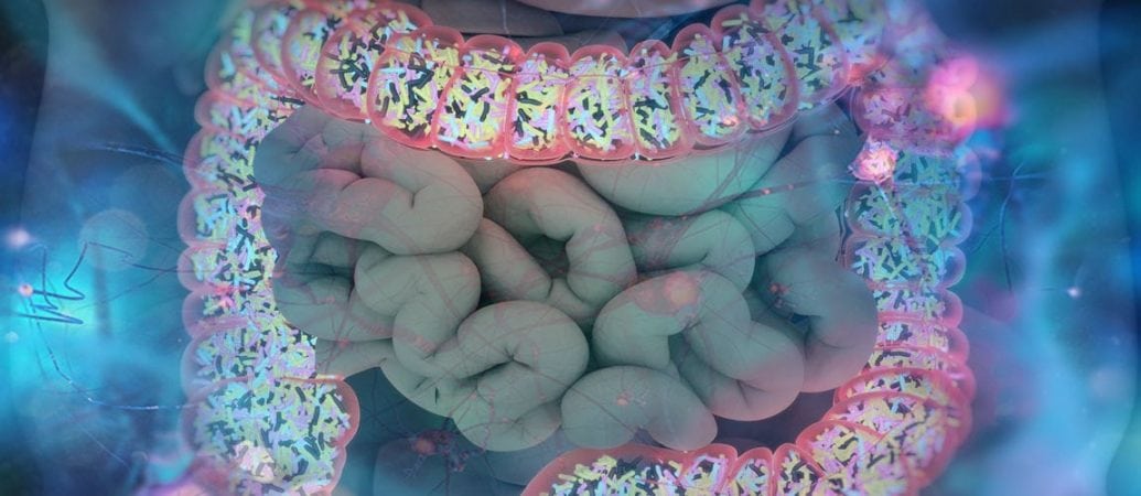 gut bacteria found to influence diet reproductive success and more 2