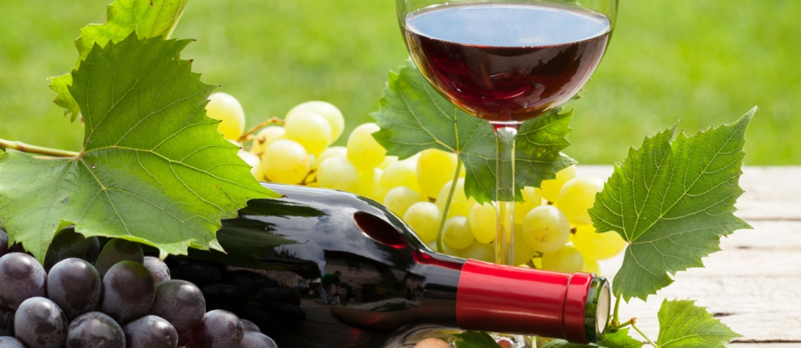 Ist Resveratrol für die gesundheitlichen Vorzüge von Rotwein verantwortlich?