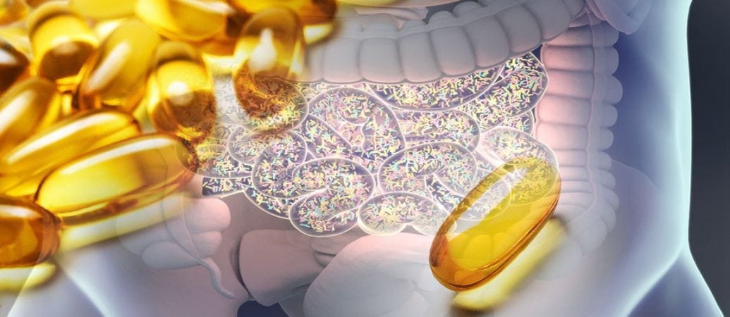 Omega-3 und Darmgesundheit: Wie Fettsäuren die bakterielle Vielfalt fördern