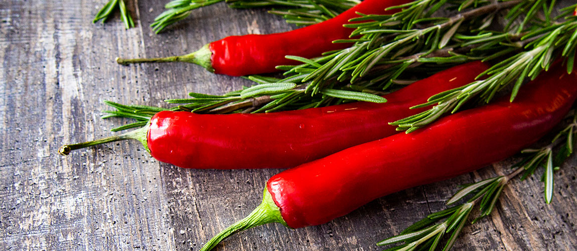 new study suggests capsaicin fights obesity 5
