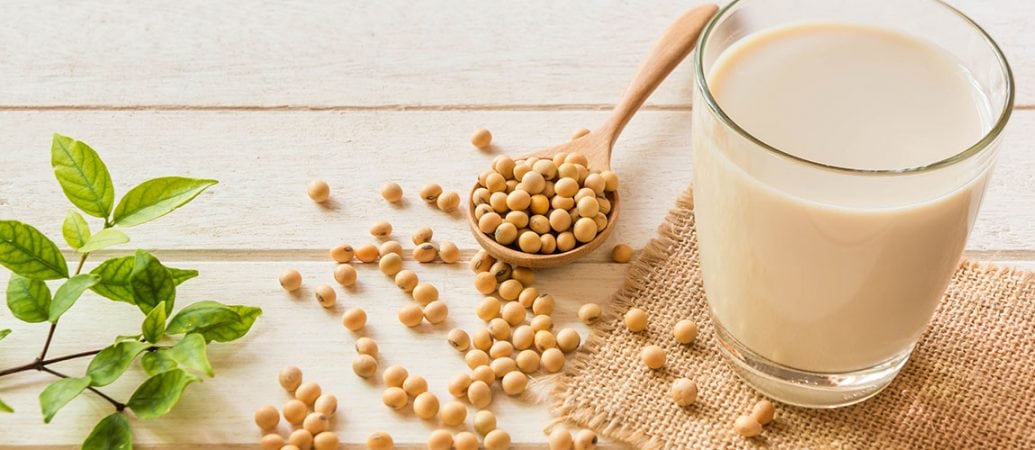 new study supports connection between dietary soy and bone strength 2