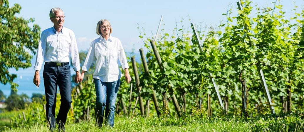 Alte menschliche Zellen werden durch Resveratrol-ähnliche Verbindungen verjüngt