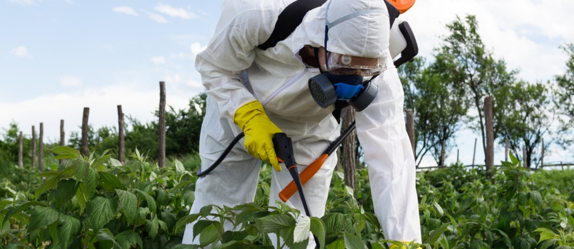 Popular Weed-Killer Ingredient Glyphosate Disrupts Gut Bacteria