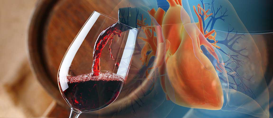 red wine compound resveratrol may protect lungs and respiratory health 4