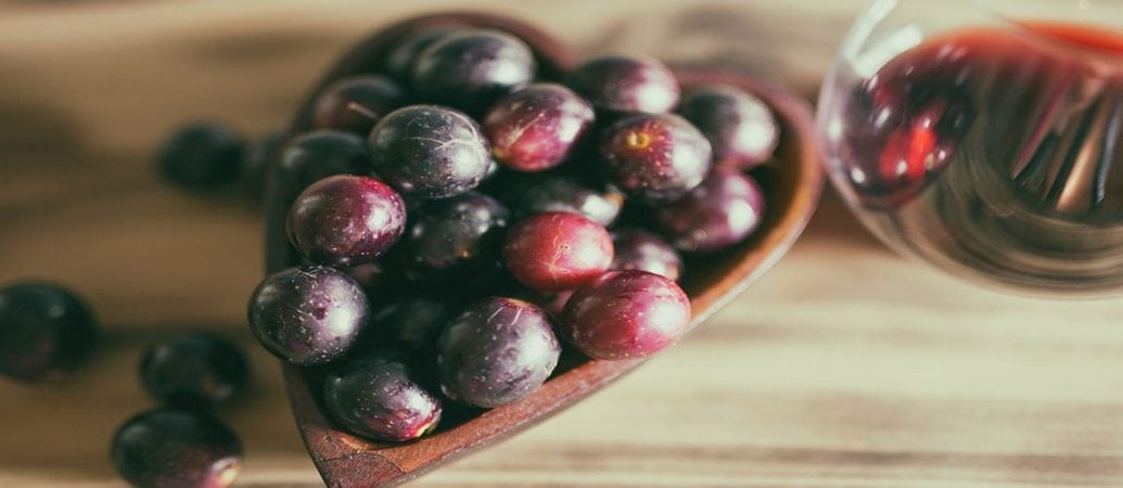 resveratrol and heart disease a gut connection 2
