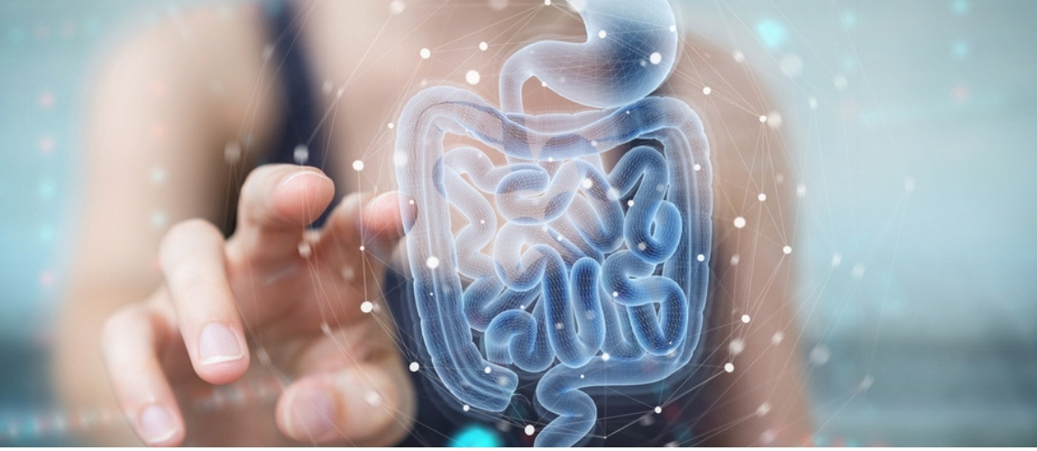 The Latest Updates in Gut Health Research 2