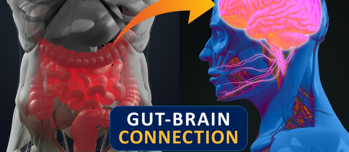 The Unlikely Connection Between Gut Bacteria and Mental Disorders