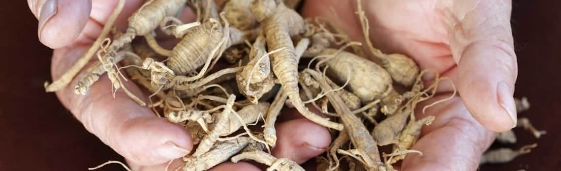 Ginseng: 5 gesundheitliche Vorteile für den Mann