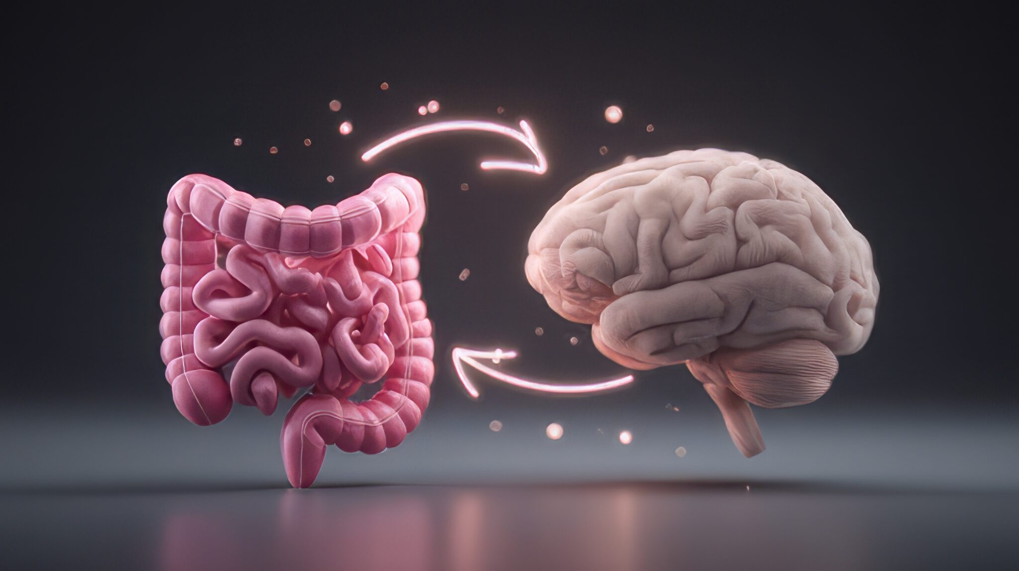 Ein Stoff aus dem Darm könnte Alzheimer beeinflussen