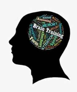 Brain Training 