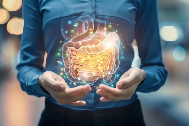 Las sustancias químicas cotidianas dañan silenciosamente las bacterias intestinales beneficiosas