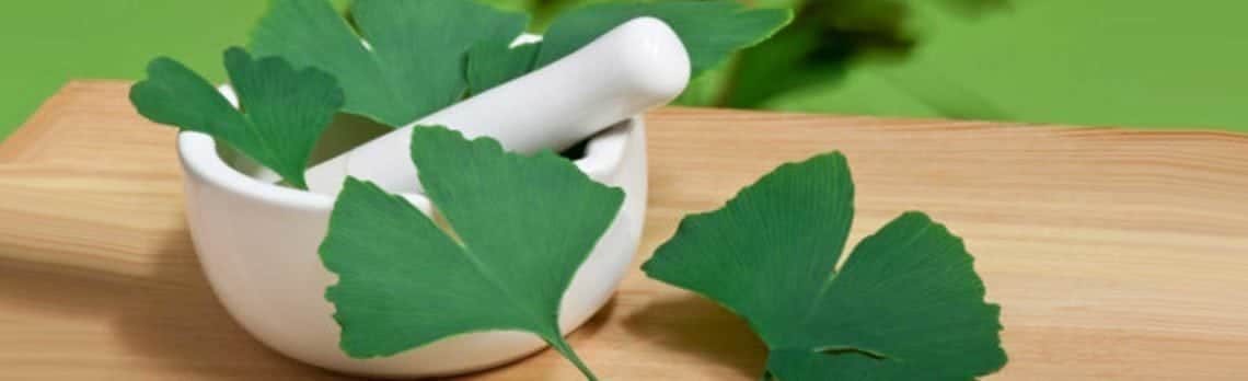 Ginkgo biloba zur Steigerung der Energie und Libido