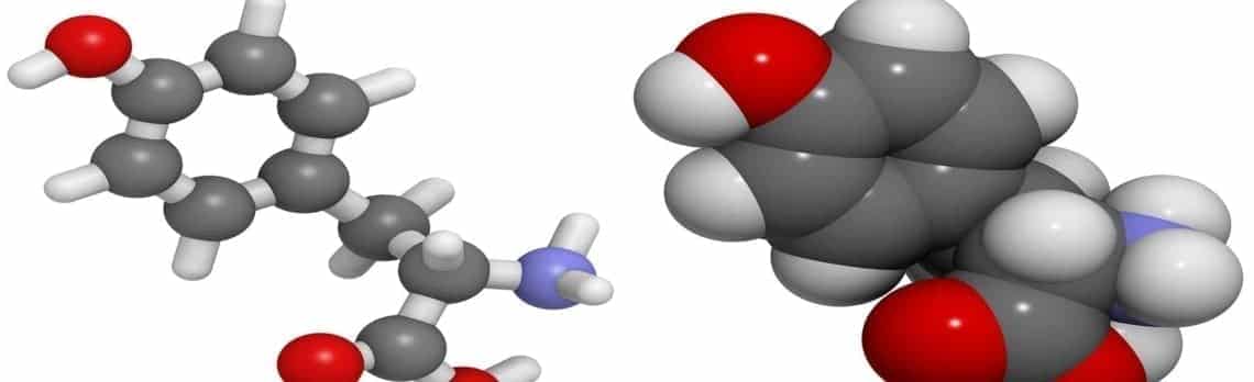 Substanzen im Fokus: L-Tyrosin für Frauen