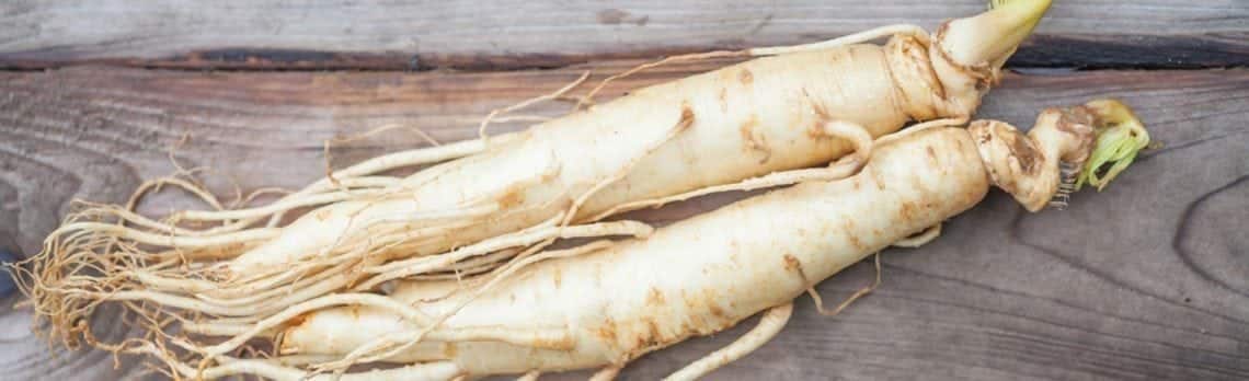 Panax Ginseng: Der König der natürlichen Nahrungsergänzungen