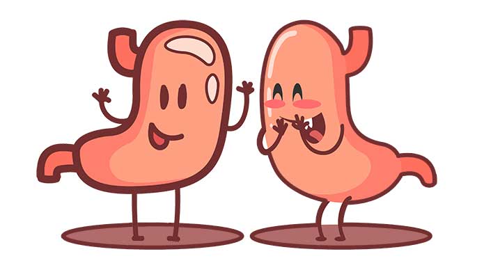 The Astonishing Connection Between Gut Health and Libido