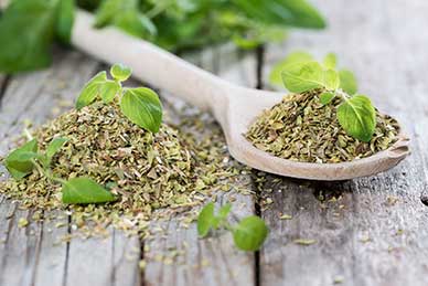 The Top 6 Immune Boosting Herbs for Cold and Flu Season 1
