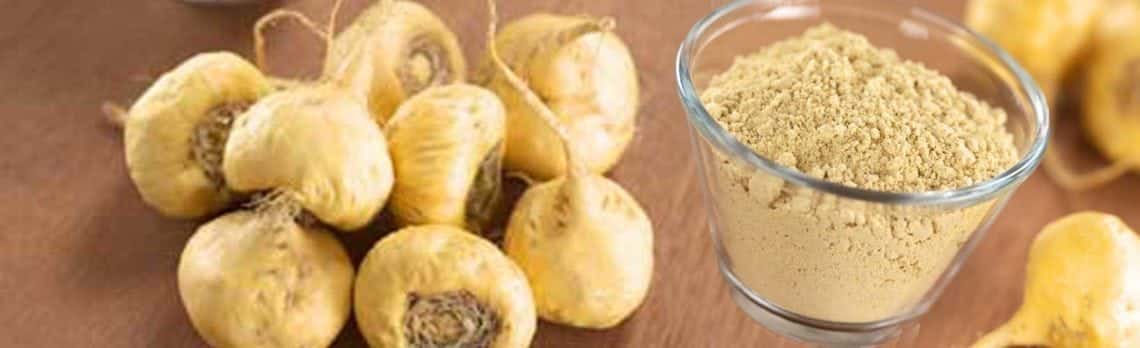 Die sieben wichtigsten gesundheitlichen Vorteile von Maca